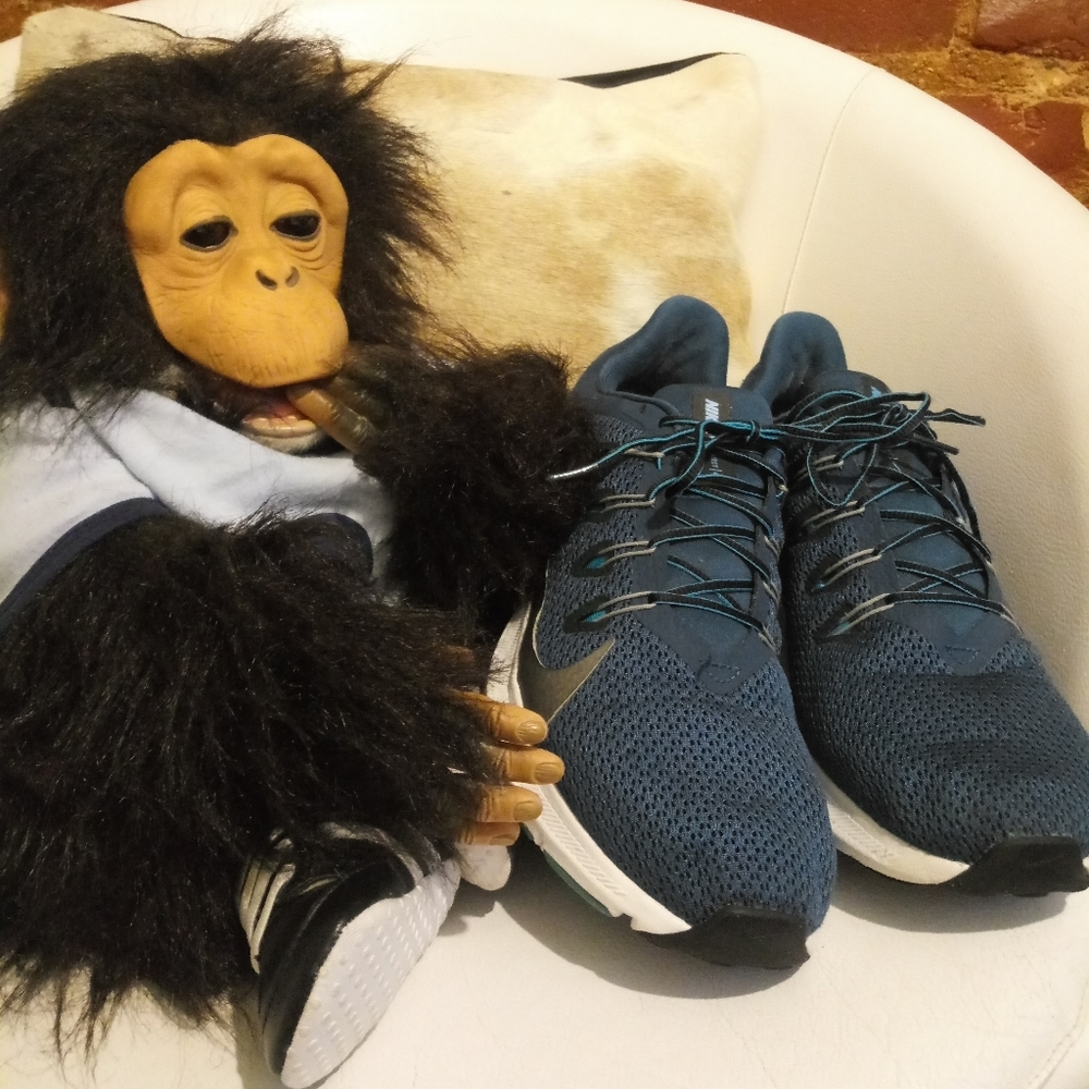 Nike Quest - image 2